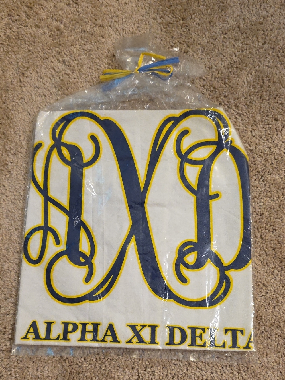 Alpha Xi Delta Pillow Case